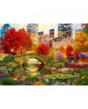 Puzzle Bluebird - Central Park NYC, 4000 piese (Bluebird-Puzzle-70256-P)