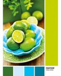 Puzzle Clementoni - Pantone - Juicy Limes, 1000 piese (39492)