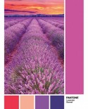 Puzzle Clementoni - Pantone - Purple, 1000 piese (39493)