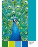 Puzzle Clementoni - Pantone - Peacock Blue, 1000 piese (39495)