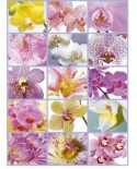 Puzzle Educa - Flower Collage, 1500 piese (16302)