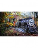 Puzzle SunsOut - Celebrate Life Gallery - Train's Coming, 1000 piese (Sunsout-30121)