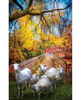 Puzzle SunsOut - Celebrate Life Gallery - Sheep Crossing, 550 piese (Sunsout-30136)