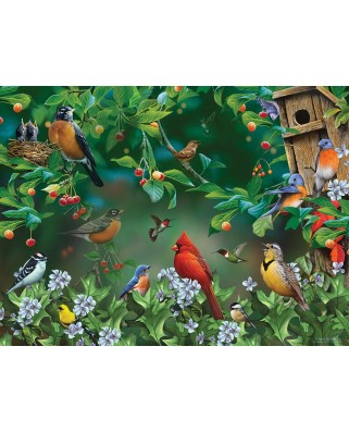 Puzzle SunsOut - Jerry Gadamus: Bird Festival, 1000 piese (Sunsout-49054)