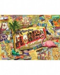 Puzzle SunsOut - Ward Thacker Studio: Florida, 1000 piese (Sunsout-70021)