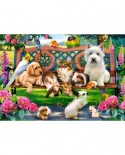 Puzzle Castorland - Pets in the Park, 1000 piese (104406)