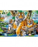 Puzzle Castorland - Tigers by the Stream, 1000 piese (104413)