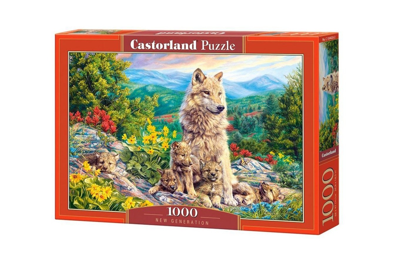 Puzzle Castorland - New Generation, 1000 piese (104420)
