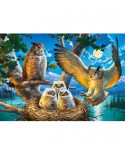 Puzzle Castorland - Owl Family, 500 piese (53322)