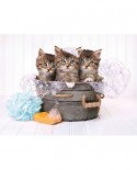 Puzzle Clementoni - Kittens, 500 piese (35065)