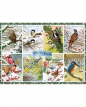 Puzzle Falcon - Winter Birds, 1000 piese (Jumbo-11234)