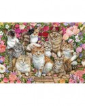 Puzzle Falcon - Floral Cats, 1000 piese (Jumbo-11246)