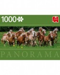 Puzzle panoramic Jumbo - Haflinger Horses, 1000 piese (18827)