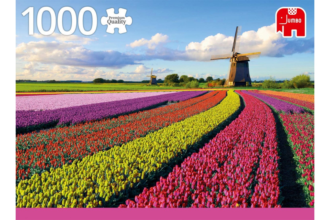 Puzzle Jumbo - Field of Tulips, 1000 piese (18833)