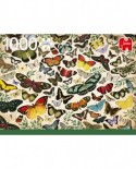 Puzzle Jumbo - Butterfly Poster, 1000 piese (18842)