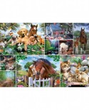 Puzzle King - Collage - Animal World, 1000 piese (55871)