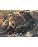 Puzzle Cobble Hill - Grizzly Family, 350 piese XXL (Cobble-Hill-54624)