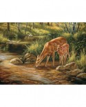 Puzzle Cobble Hill - Deer Family, 350 piese XXL (Cobble-Hill-54626)