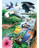 Puzzle Cobble Hill - North American Birds, 35 piese (Cobble-Hill-58809)