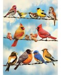 Puzzle Cobble Hill - Blue Sky Birds, 35 piese (Cobble-Hill-58888)