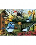 Puzzle Cobble Hill - Blue Jay And Friends, 1000 piese (Cobble-Hill-80053)