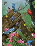 Puzzle Cobble Hill - Birds of the Forest, 1000 piese (Cobble-Hill-80086)