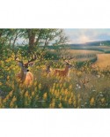 Puzzle Cobble Hill - Summer Deer, 1000 piese (Cobble-Hill-80092)