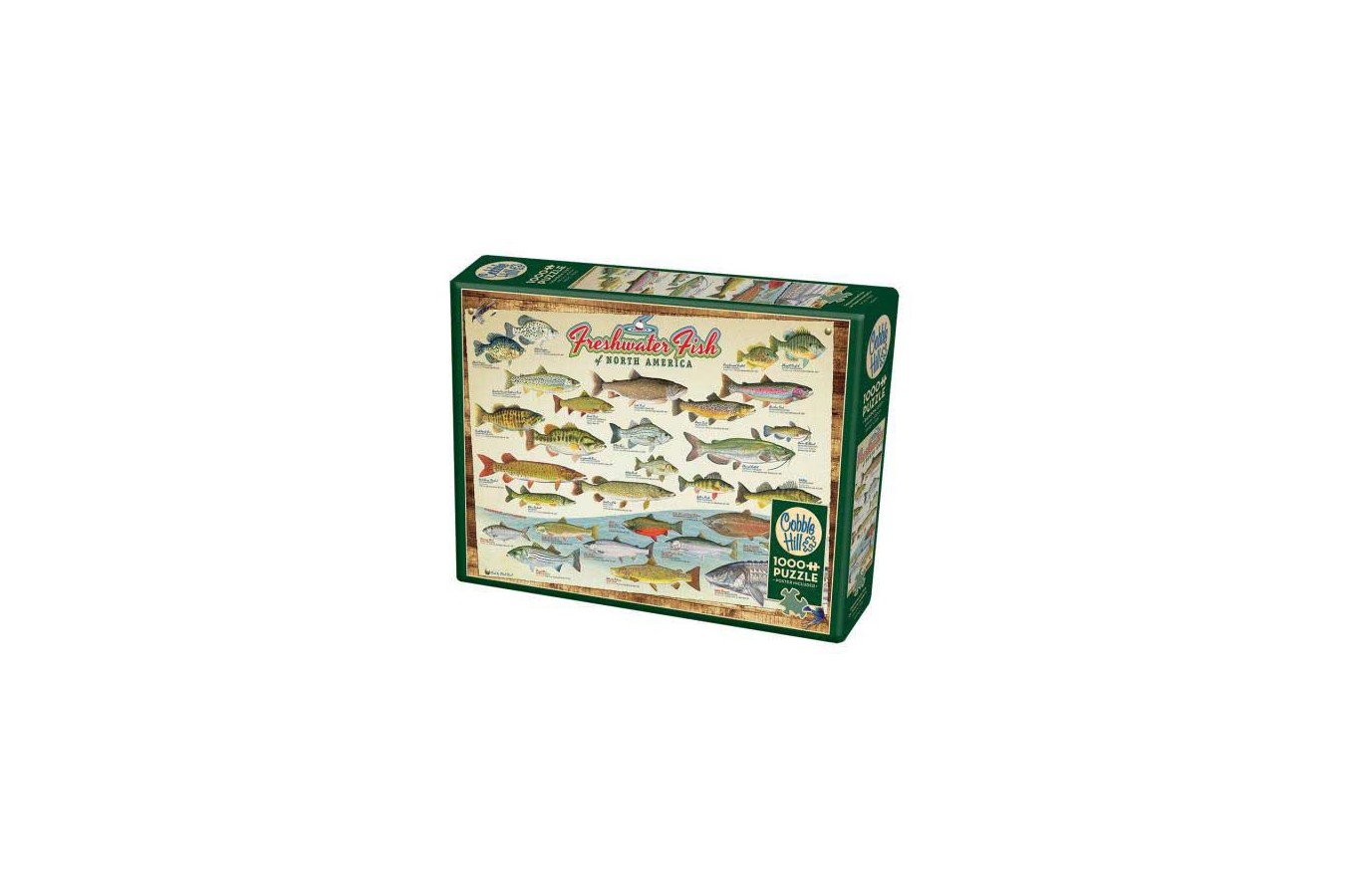 Puzzle Cobble Hill - Freshwater Fish of North America, 1000 piese (Cobble-Hill-80094)