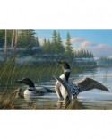 Puzzle Cobble Hill - Common Loons, 1000 piese (Cobble-Hill-80107)