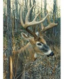 Puzzle Cobble Hill - White-tailed Deer, 1000 piese (Cobble-Hill-80134)