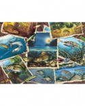 Puzzle Cobble Hill - Fish Pics, 1000 piese (Cobble-Hill-80209)
