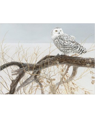 Puzzle Cobble Hill - Fallen Willow Snowy Owl, 500 piese XXL (Cobble-Hill-85031)