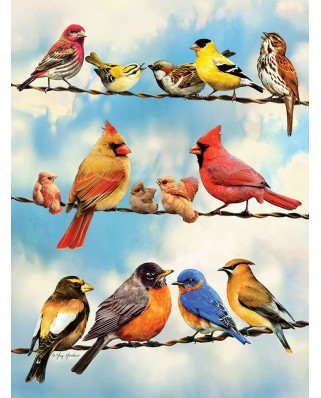 Puzzle Cobble Hill - Birds on a Wire, 500 piese XXL (Cobble-Hill-85034)