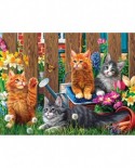 Puzzle SunsOut - Kittens in the Garden, 300 piese (Sunsout-42914)