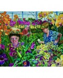 Puzzle SunsOut - Orchid Society, 300 piese (Sunsout-44232)