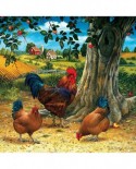 Puzzle SunsOut - Rooster and Hens, 500 piese (Sunsout-59724)