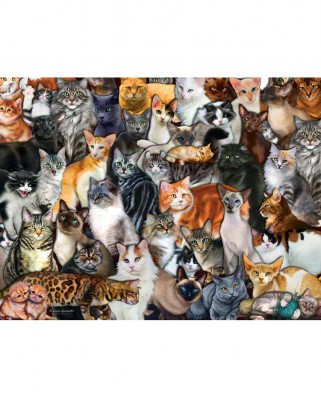 Puzzle SunsOut - Cat Collage, 300 piese (Sunsout-60934)