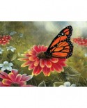 Puzzle SunsOut - Monarch Butterfly, 500 piese (Sunsout-67362)