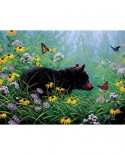 Puzzle SunsOut - Black Bear and Butterflies, 500 piese (Sunsout-69601)