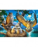 Puzzle Castorland - Owl Family, 180 piese (018437)