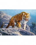 Puzzle Castorland - Tiger on the Rock, 180 piese (018451)