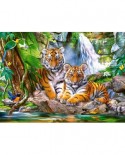 Puzzle Castorland - Tiger Falls, 300 piese (030385)
