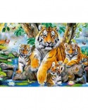 Puzzle Castorland - Tigers by the Stream, 120 piese (13517)