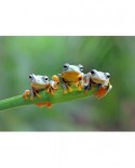 Puzzle Bluebird - Friendly Frogs, 500 piese (70294)