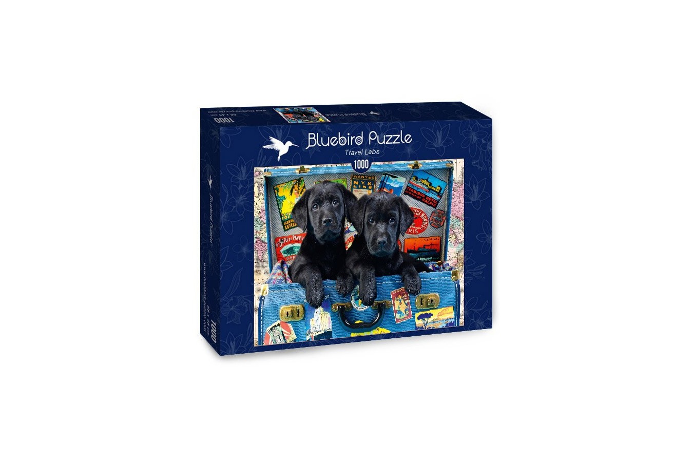 Puzzle Bluebird - Travel Labs, 1000 piese (70328-P)