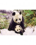 Puzzle KS Games - Panda Mother, 100 piese (10109)