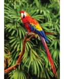 Puzzle KS Games - Scarlet Macaw, 100 piese (10111)