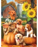Puzzle SunsOut - Autumn Puppies, 300 piese XXL (Sunsout-28767)