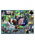 Puzzle Gibsons - All Creatures Great & Small, 1000 piese (61511)