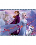 Puzzle Nathan - Frozen II, 45 piese (86451)